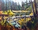 Tangled Pond, Manning Park
