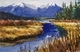 Vermilion Grasses