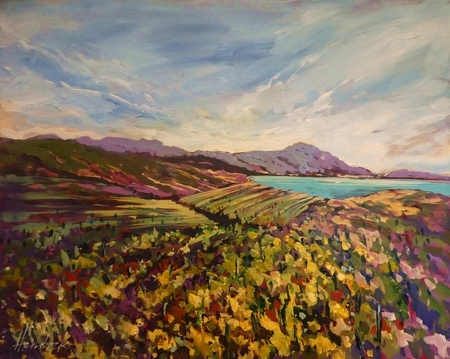 Vineyard Vista