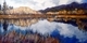 Wasa Reflections