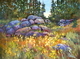 Wildflower Rhythms