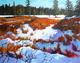 Winter Meadow