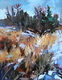 Winter Mosaic
