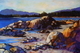 Winter Sun, Roberts Creek